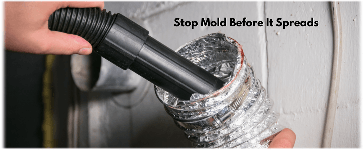 Air Duct Mold Removal in Baltimore